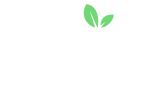 Fruitycasa Casino Logo